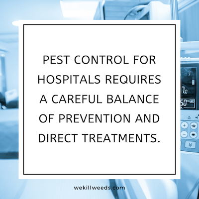 Pest control for hospitals requires a careful balance of prevention and direct treatments. We use effective spraying techniques that are designed for safe use around vulnerable members of the population that you treat in your hospital.