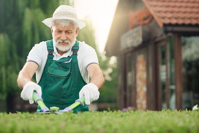 Trimming hedges - yard care for seniors