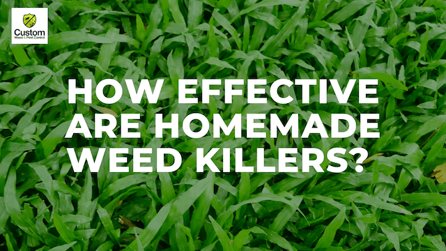 Are DIY weed killers effective?