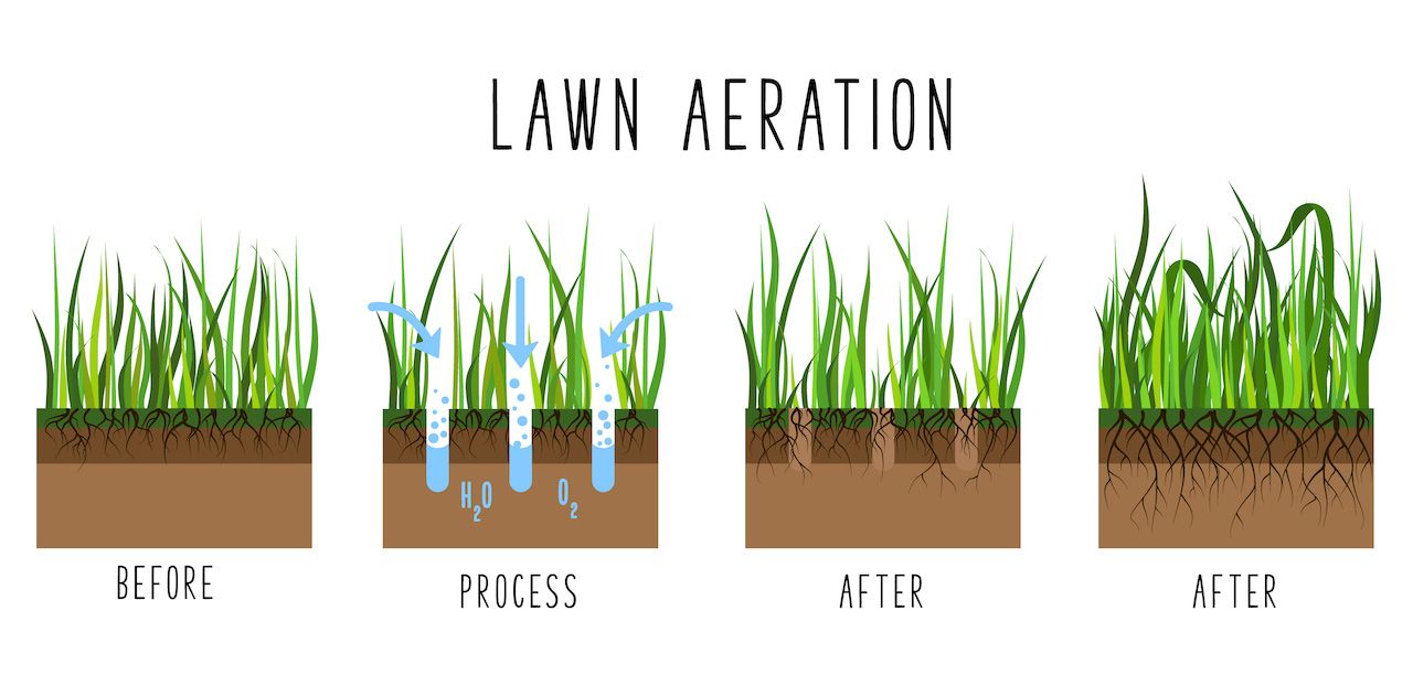 An illustration of the process of lawn aeration.