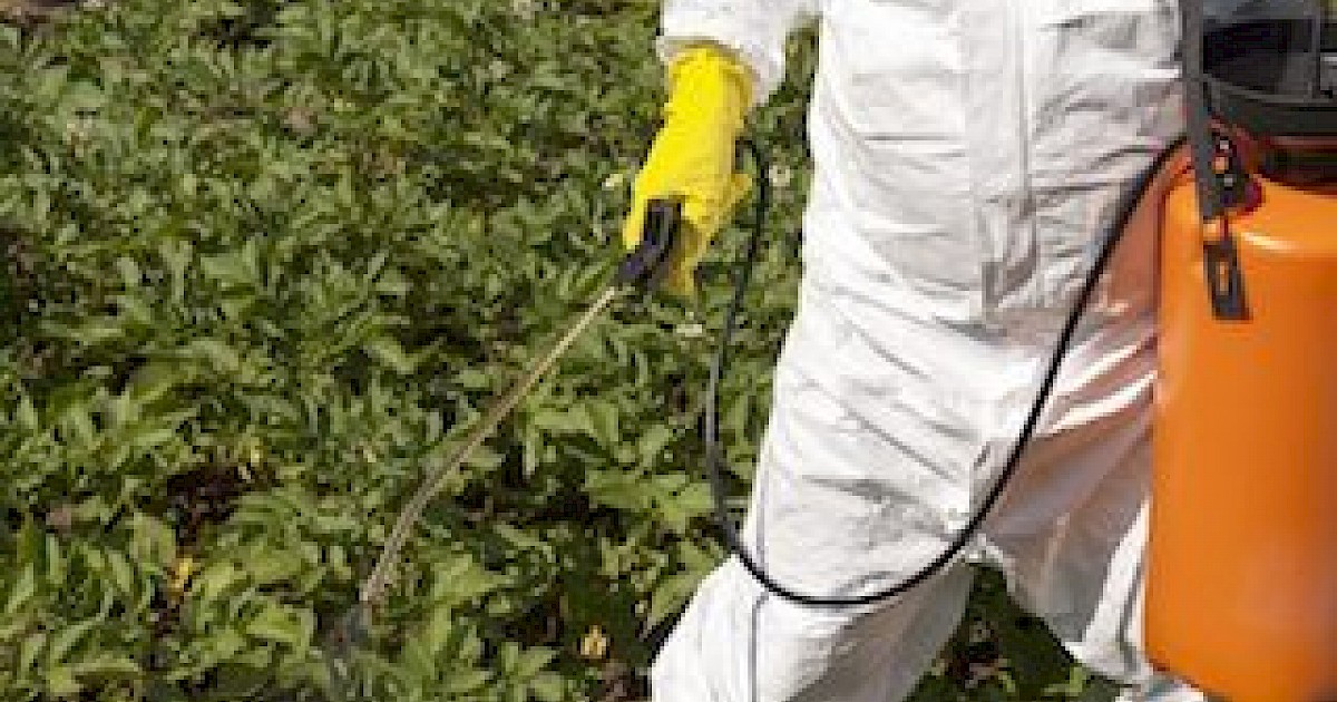 The Importance of Pre-Emergent Weed Spraying