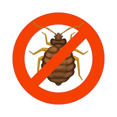 illustration of bed bug pest control