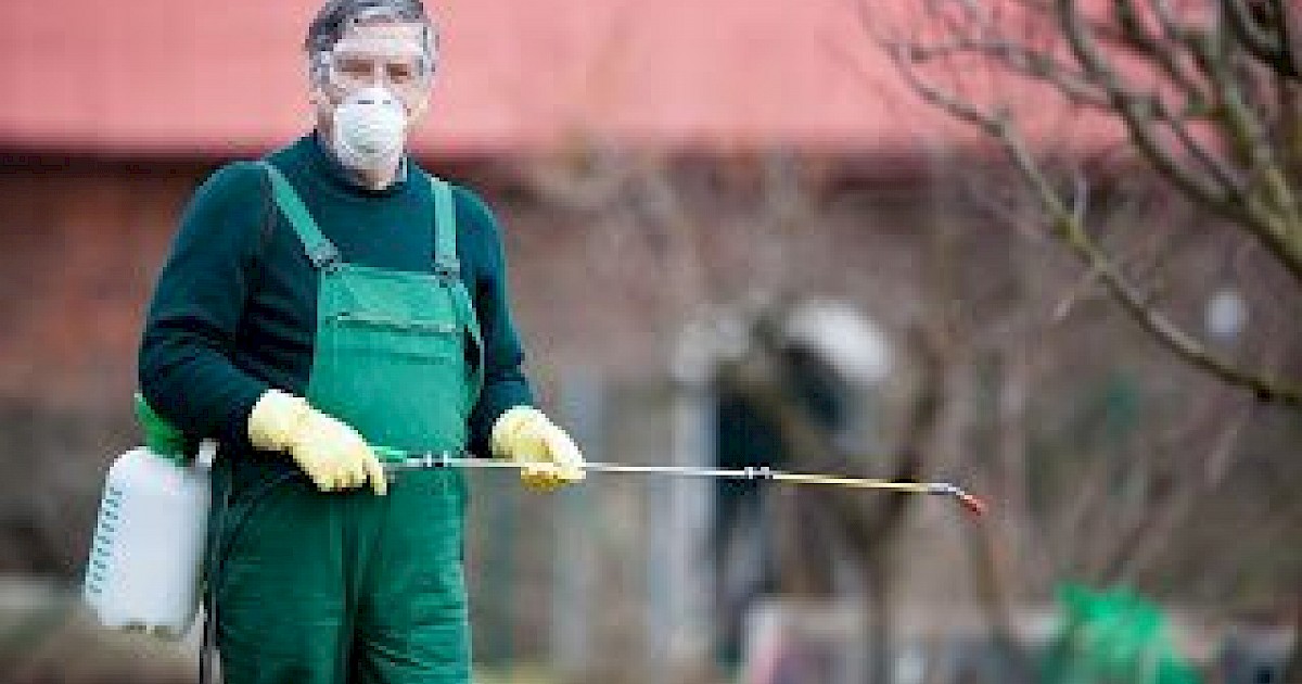 PostEmergent Weed Spraying Custom Weed and Pest Control