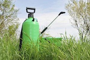Spray for Weeds