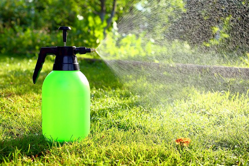Effective pest control: safeguarding your home with reliable pest spray solutions.
