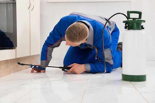 pest control companies San tan