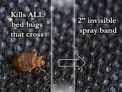 Aprehend Spray for Bed Bugs