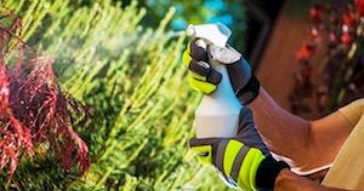 PreEmergent Weed Spraying Phoenix Weed Control