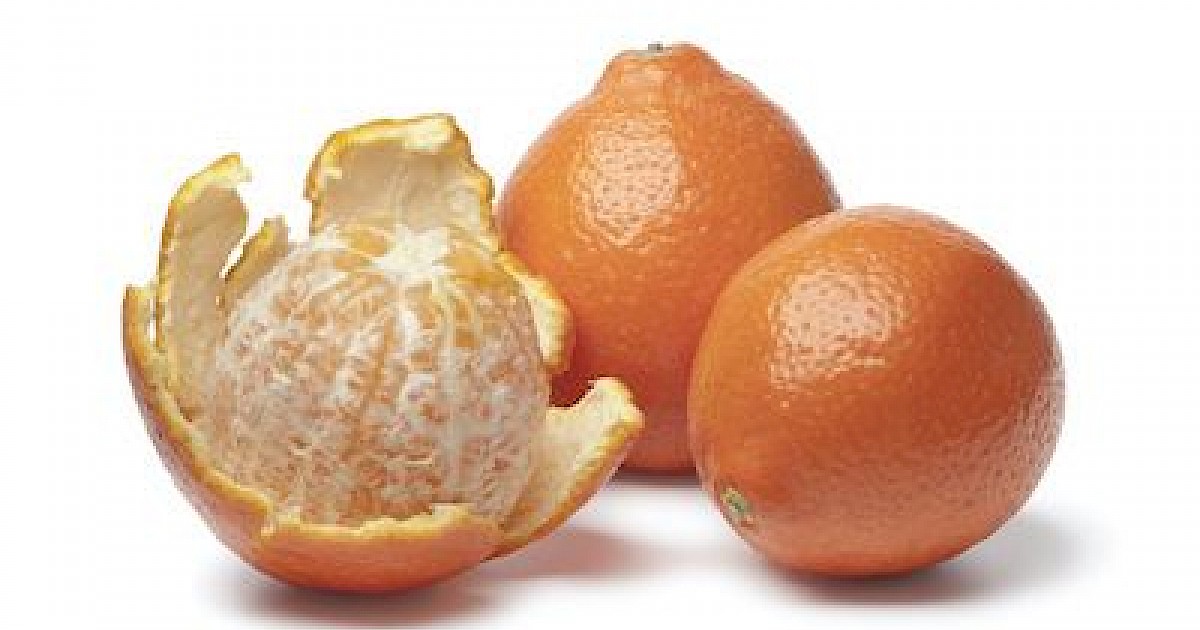 Harvesting Citrus Fruit in Arizona When and How