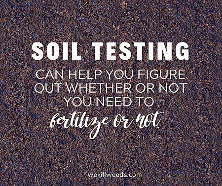 Soil testing can help you figure out whether or not you need to fertilize not