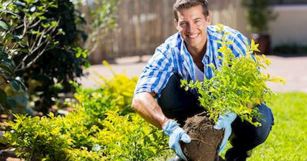 Why Gardening is a Good Stress Reliever