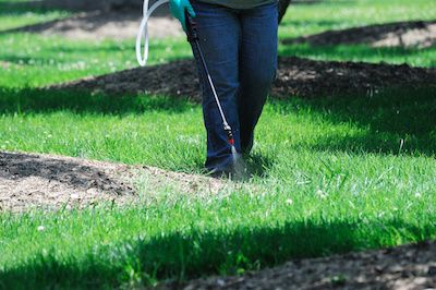 weed control technician spraying chemicals on grass