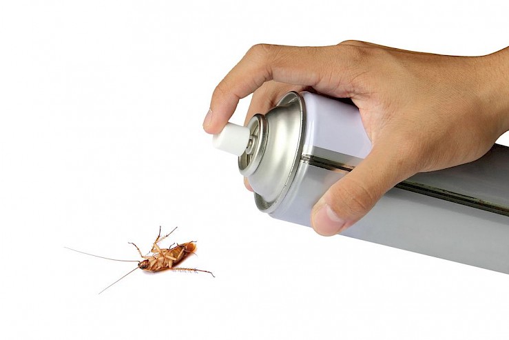 Over-the-counter pest spray.