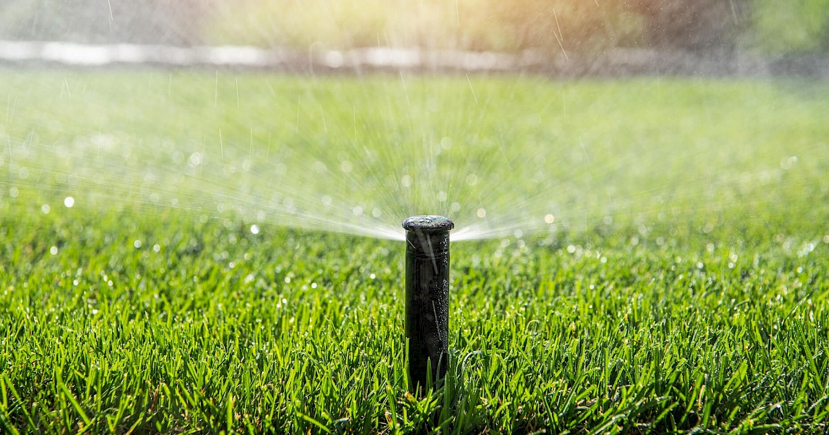 Lawn Watering Tips for Your Arizona Lawn AZ Plant Health