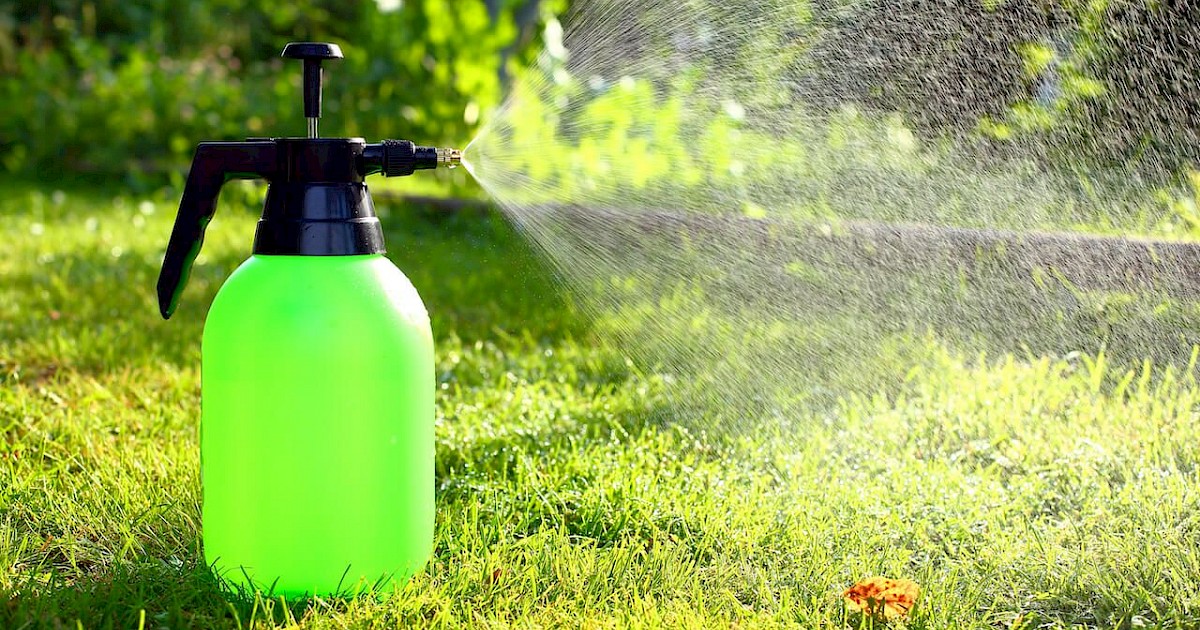 Why You Need PreEmergent Weed Spray Service