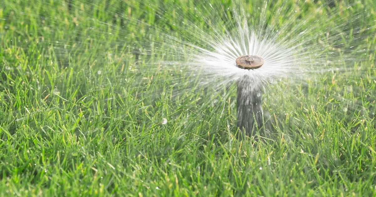 Phoenix Summer Lawn Watering Tips