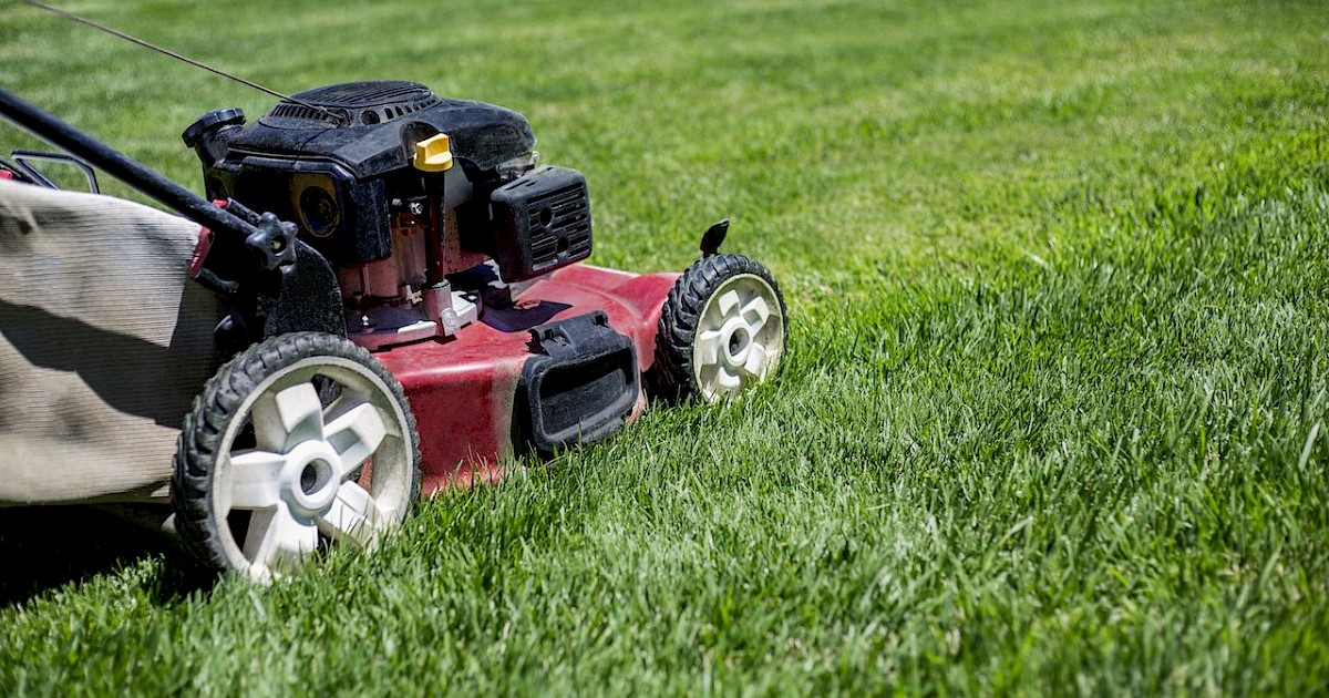 4 Strategies for a Thicker, Greener Phoenix Lawn