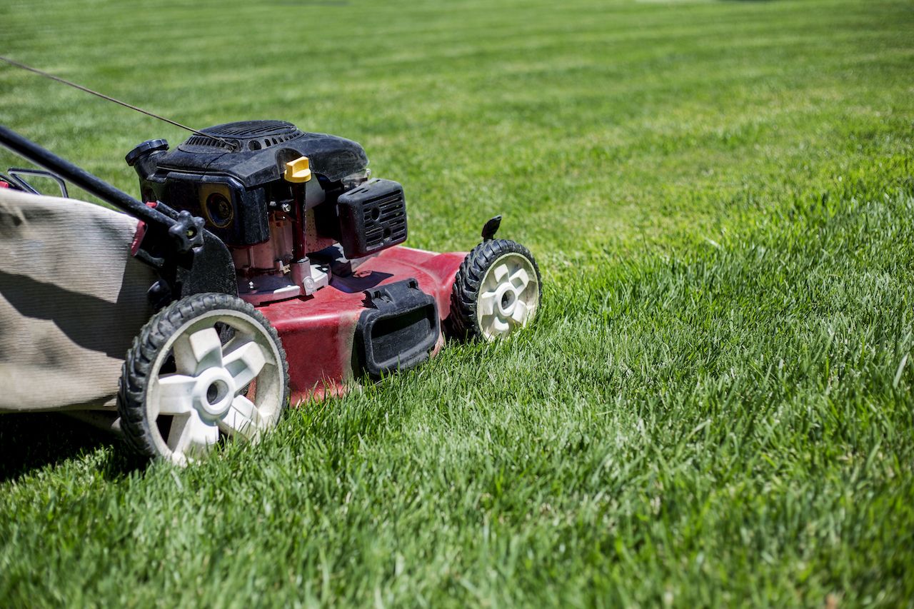 Mowing for a healthy and thicker lawn.