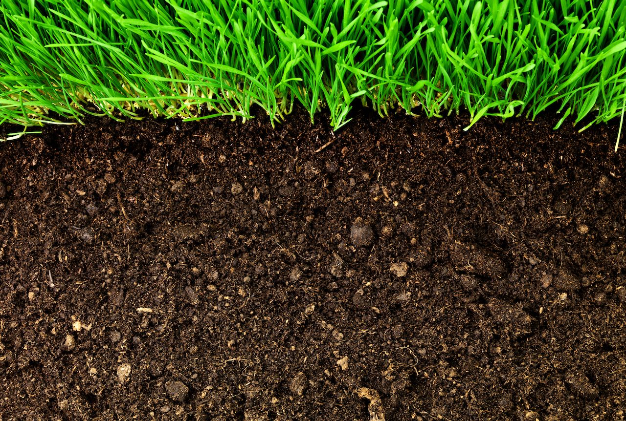 Rich, brown soil in a well-manicured lawn, ready for planting or gardening.
