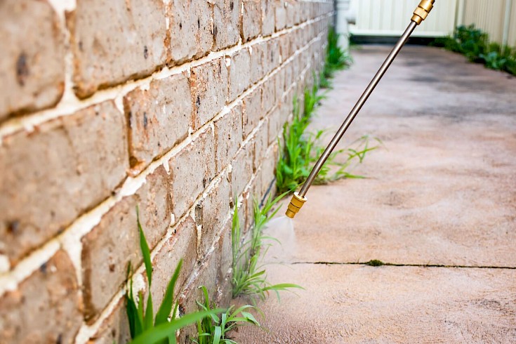 Post-emergent spray is one of the best ways to control tough weeds in your lawn.