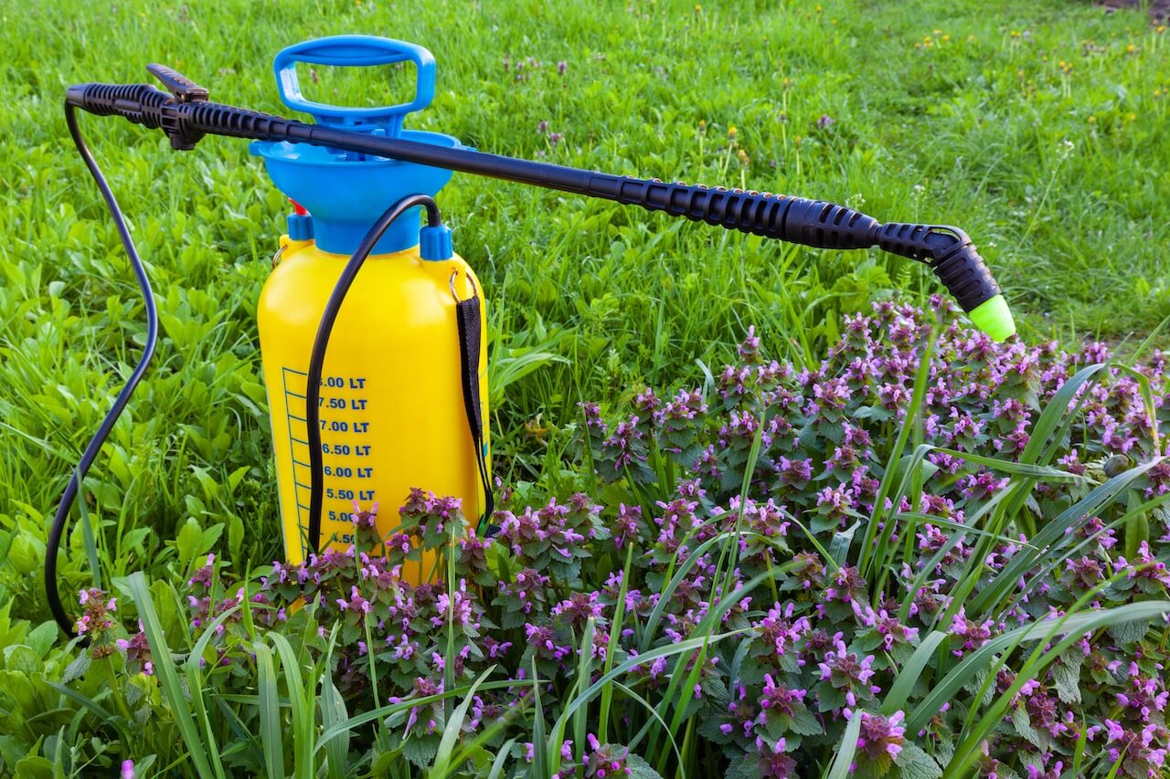 Pre-emergent weed spray.