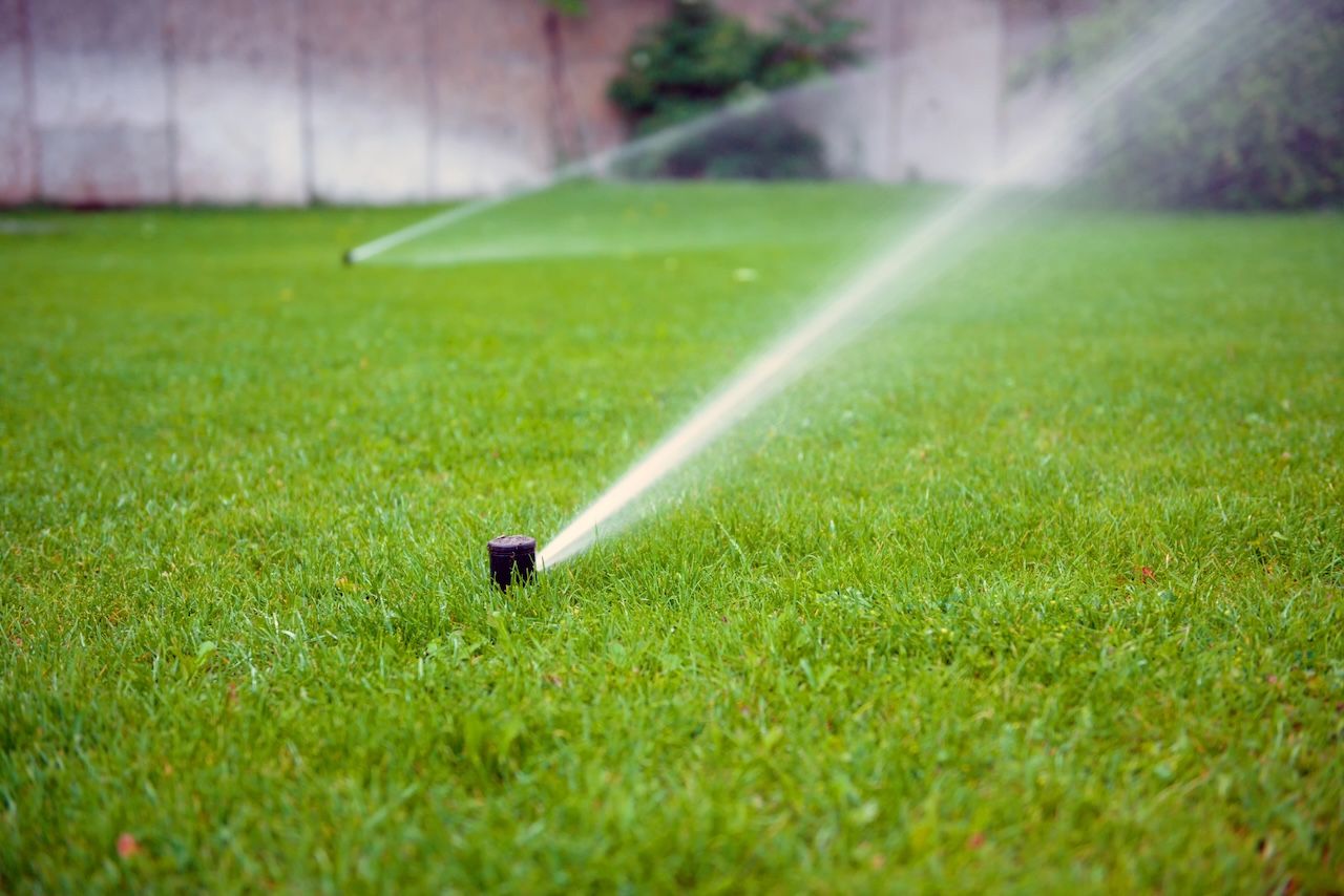 A lawn sprinkler sprays water across green grass.