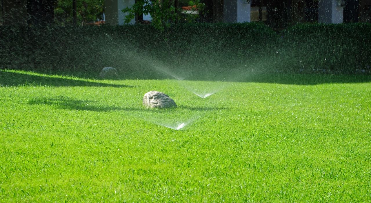 A sprinkler releases a fine mist of water onto a vibrant green lawn, promoting healthy growth of grass.