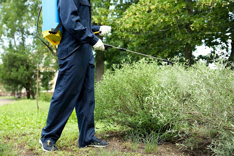 Post-emergent weed control.