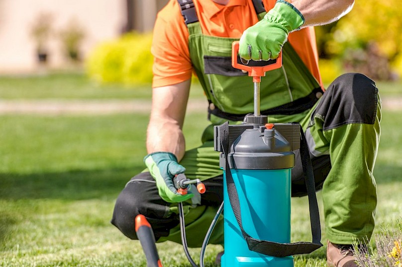 Applying fertilizer to the lawn.