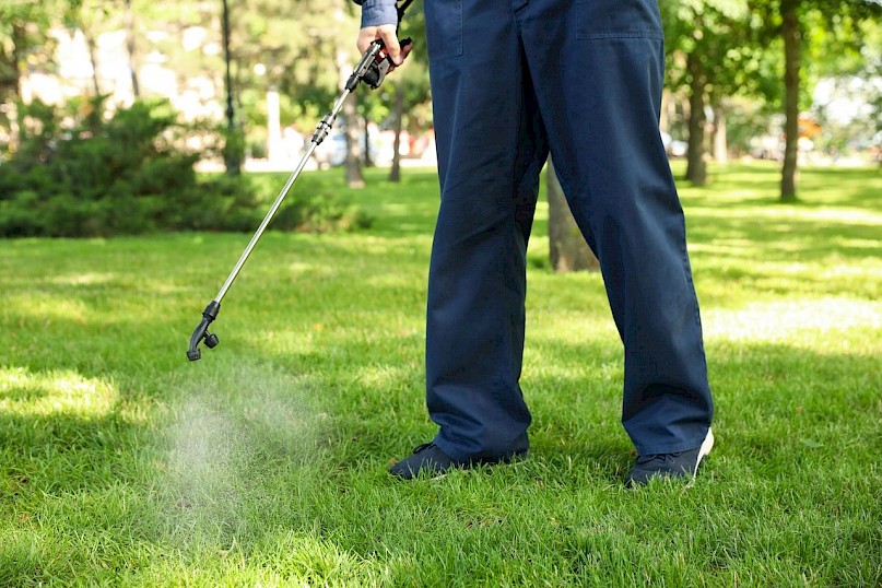 Professional weed control service guarantees a weed-free lawn.