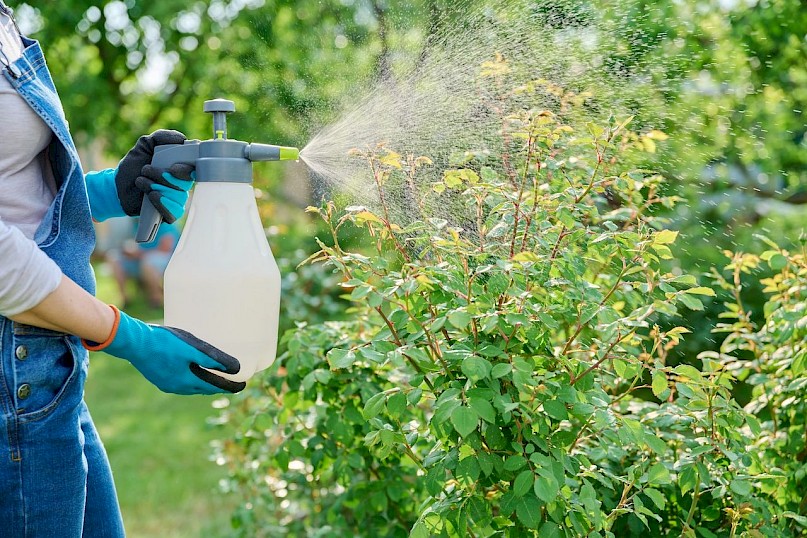 Weed control spray.