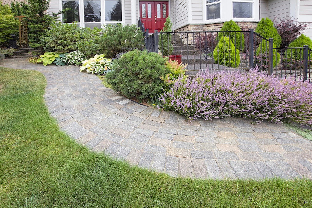 Hardscape in lawn.
