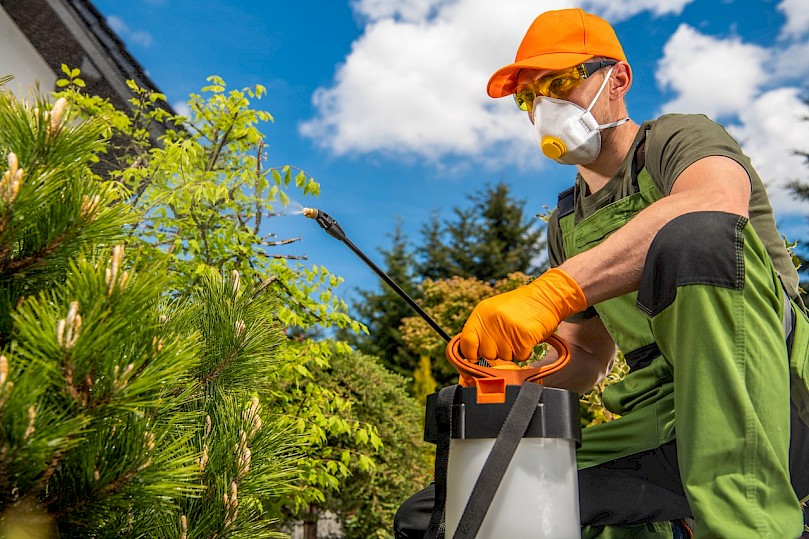 Weed control service worker spraying herbicide in a residential yard.