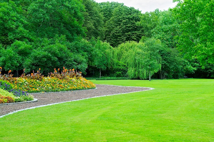 Healthy green lawn after professional weed control in Phoenix AZ.